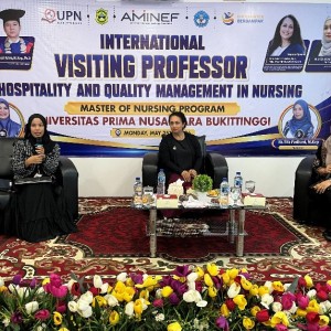 International Visiting Professor